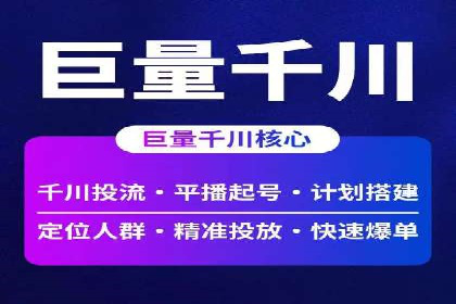 某品牌通过百度广告实现快速增长的案例